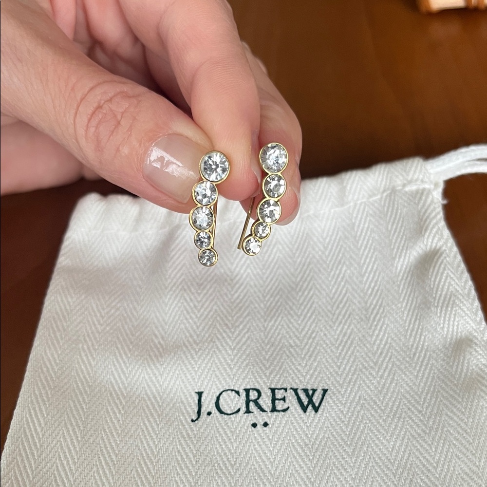 J. Crew Earrings